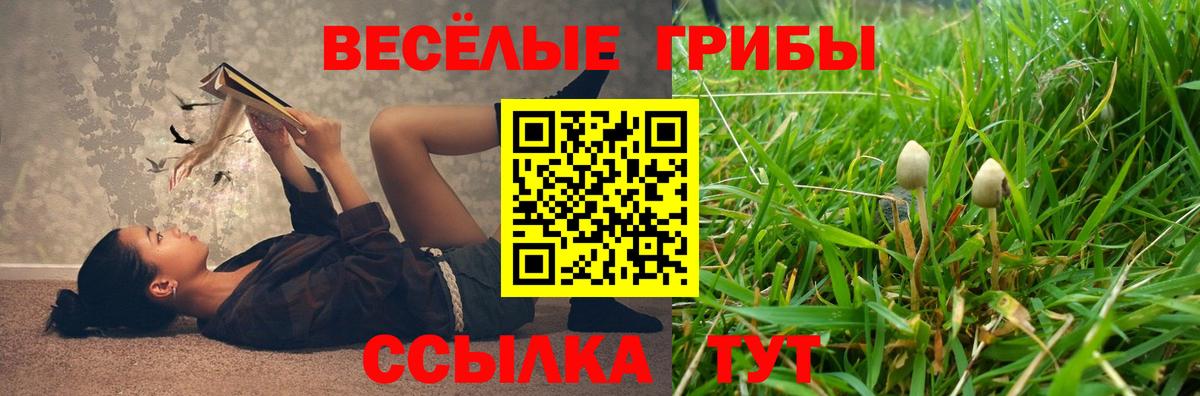 Псилоцибиновые грибы MAGIC MUSHROOMS  Вход с VPN  Псилоцибиновые грибы прущие грибы  Междуреченск 